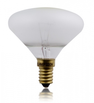 Eldea-Lampe 25 translucent-matt